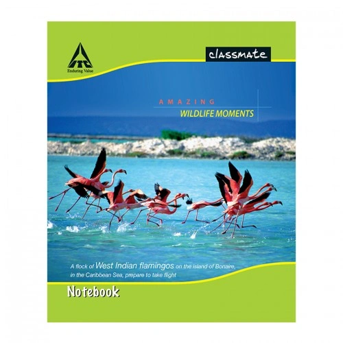 Notebook A4 Size Single Line Hindi Pages - 140