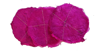 Alta Patta Pink Pack of 10 Pieces