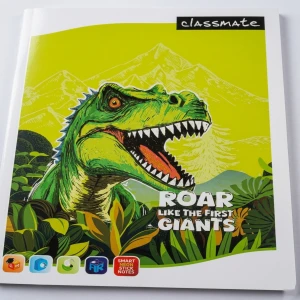 Hindi Notebook 72 Pages 02671156 Detail