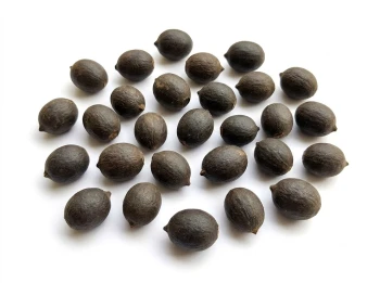 Kamal Gatta Seeds - 11 Pieces