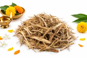 Original Kush Dry Grass (Darbha Grass) for Rituals & Festivals (20g)